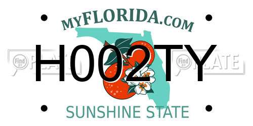 H002TY Florida License Plate