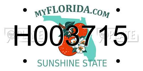 H003715 Florida License Plate