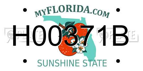 H00371B Florida License Plate
