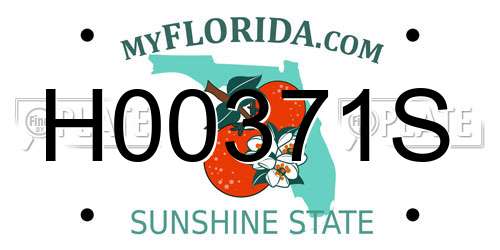 H00371S Florida License Plate