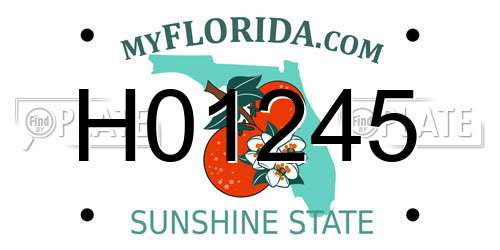 H01245 Florida License Plate