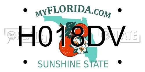 H018DV Florida License Plate