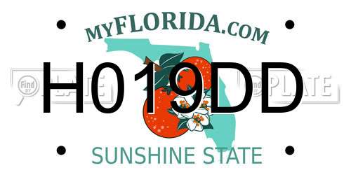 H019DD Florida License Plate
