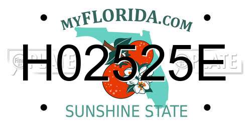 H02525E Florida License Plate