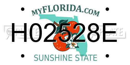 H02528E Florida License Plate