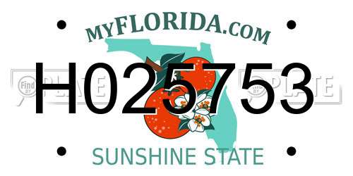 H025753 Florida License Plate
