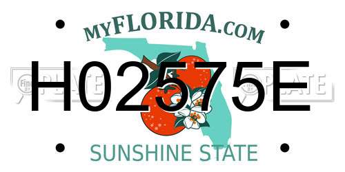 H02575E Florida License Plate