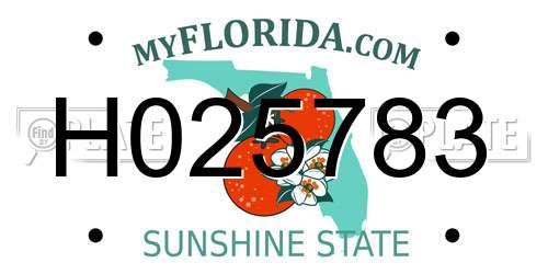 H025783 Florida License Plate