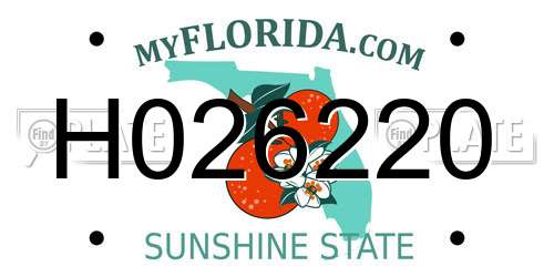 H026220 Florida License Plate