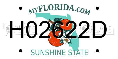 H02622D Florida License Plate