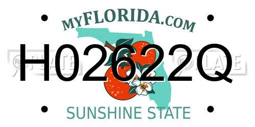 H02622Q Florida License Plate