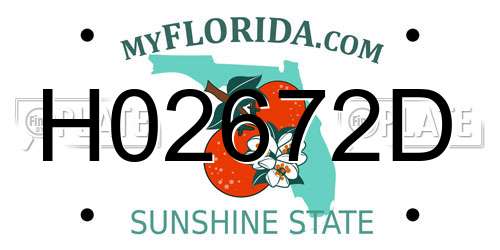 H02672D Florida License Plate