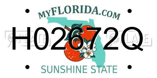 H02672Q Florida License Plate