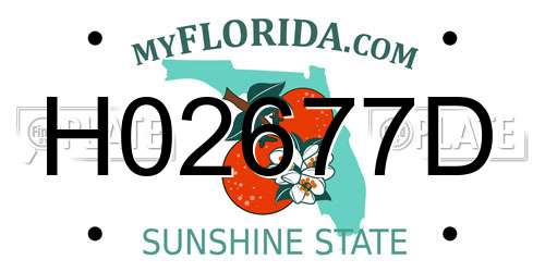 H02677D Florida License Plate