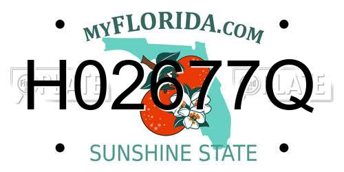 H02677Q Florida License Plate