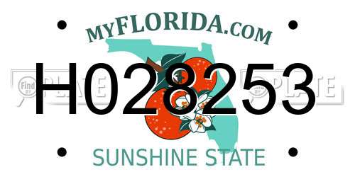 H028253 Florida License Plate