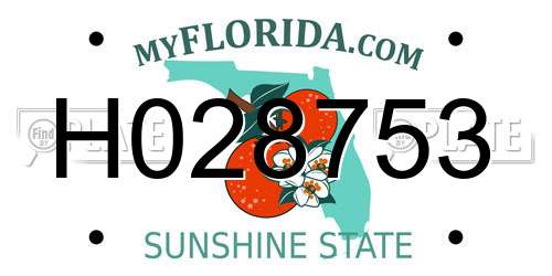 H028753 Florida License Plate
