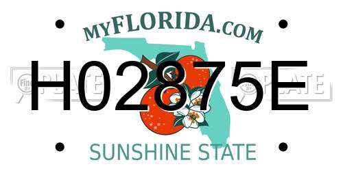 H02875E Florida License Plate