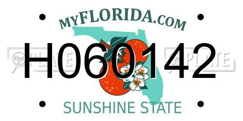 H060142 Florida License Plate