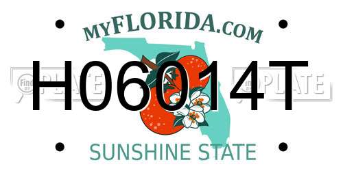H06014T Florida License Plate