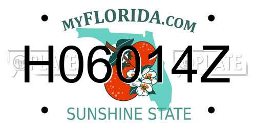 H06014Z Florida License Plate