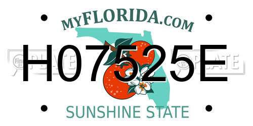 H07525E Florida License Plate