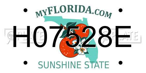 H07528E Florida License Plate