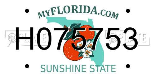 H075753 Florida License Plate