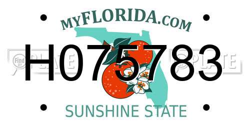 H075783 Florida License Plate