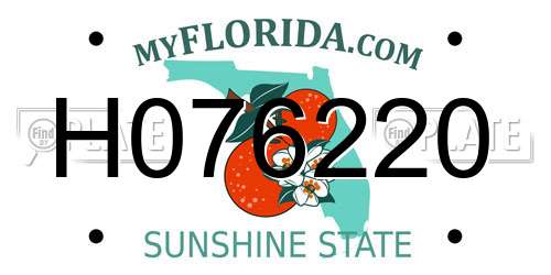 H076220 Florida License Plate