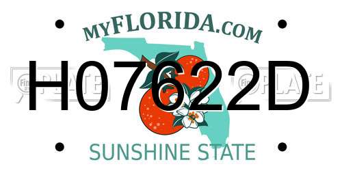 H07622D Florida License Plate