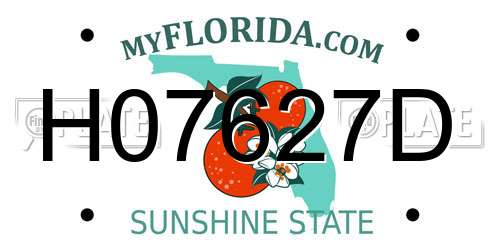 H07627D Florida License Plate