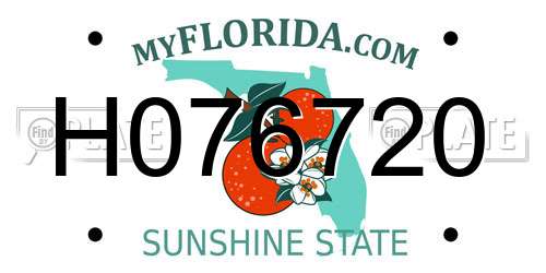 H076720 Florida License Plate