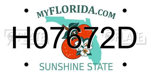 H07672D Florida License Plate