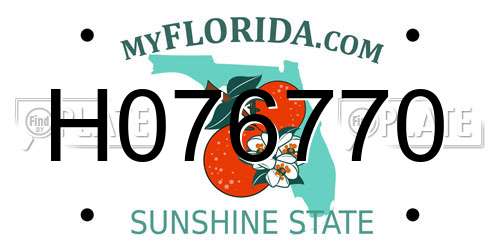 H076770 Florida License Plate