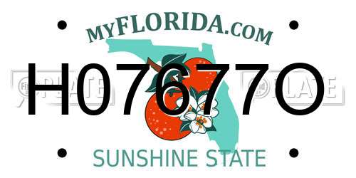 H07677O Florida License Plate