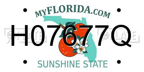 H07677Q Florida License Plate