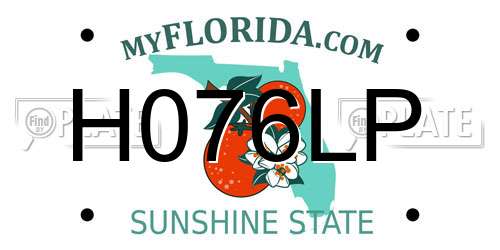 H076LP Florida License Plate
