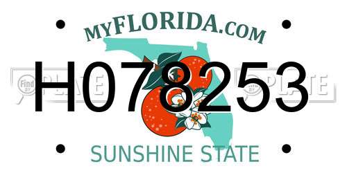 H078253 Florida License Plate