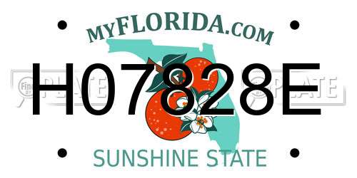 H07828E Florida License Plate