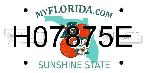 H07875E Florida License Plate
