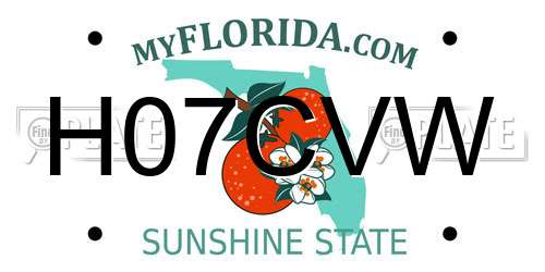 H07CVW Florida License Plate
