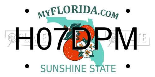 H07DPM Florida License Plate