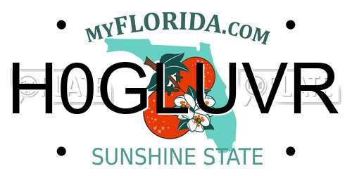 H0GLUVR Florida License Plate