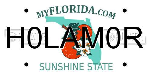 H0LAM0R Florida License Plate