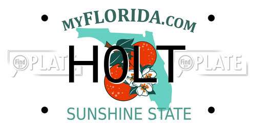 H0LT Florida License Plate