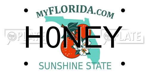 H0NEY Florida License Plate