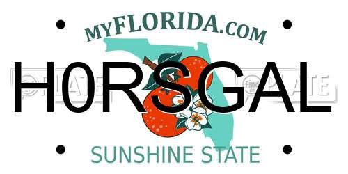 H0RSGAL Florida License Plate