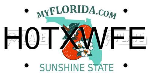 H0TXWFE Florida License Plate