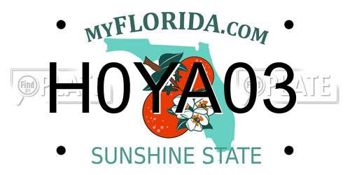 H0YA03 Florida License Plate